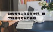 雷速体育比分直播-助教晋升内部竞争激烈，两大组合绝对实力强劲