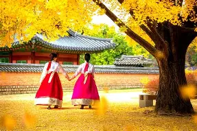 韩国球队齐心协力，夺取难得的比赛胜利的简单介绍