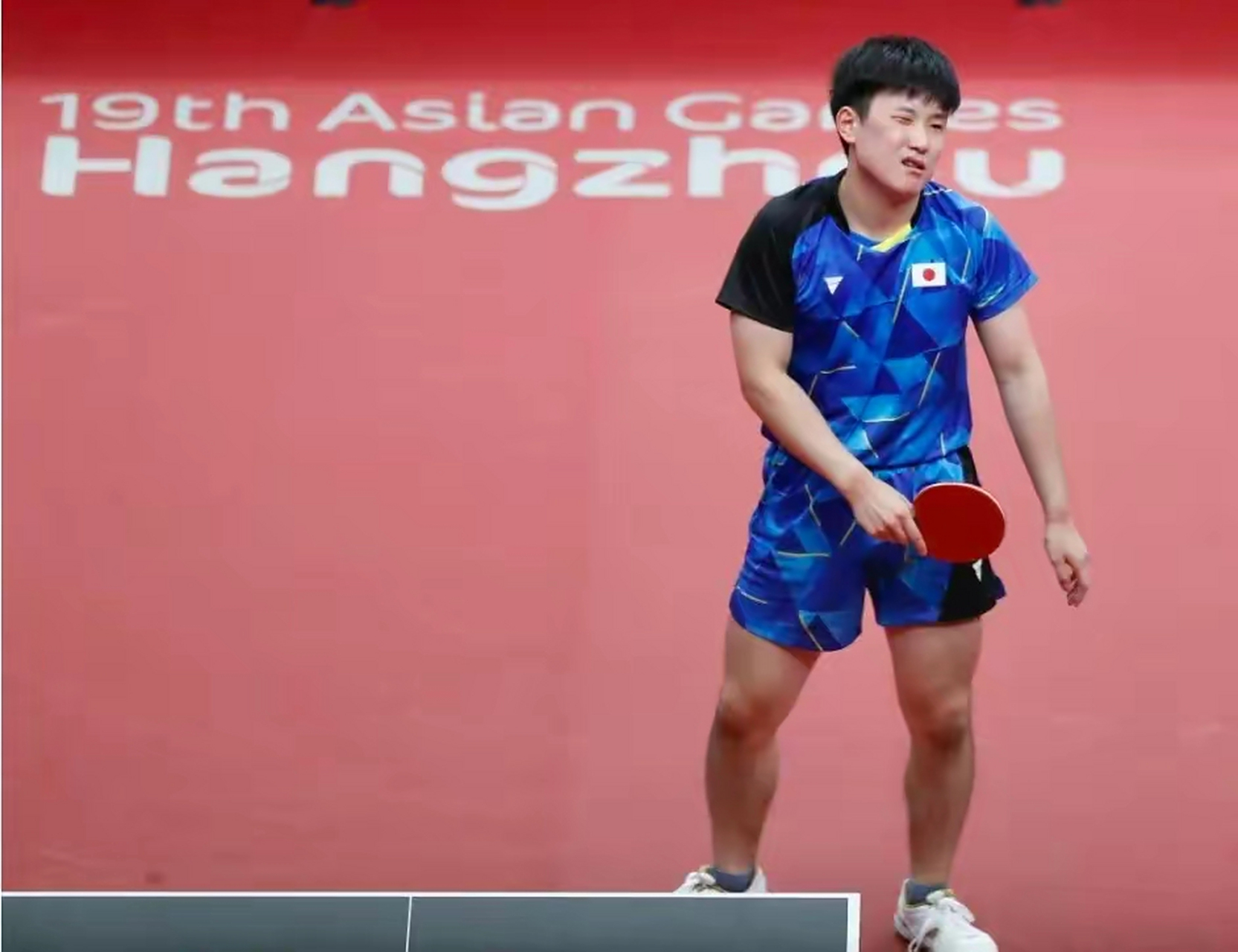 法国乒乓球队力克奥地利乒乓球队，水谷隼惊艳世界的简单介绍